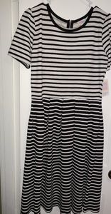 New with tags large lularoe amelia